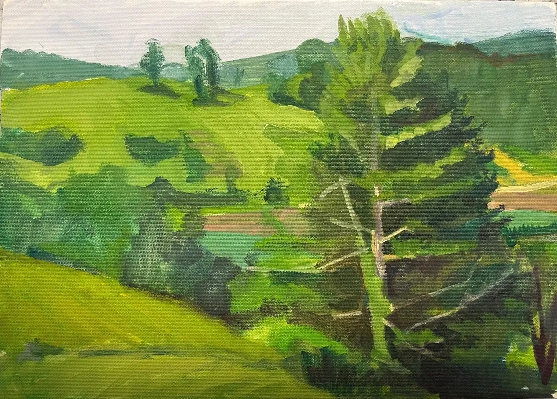 Valley view